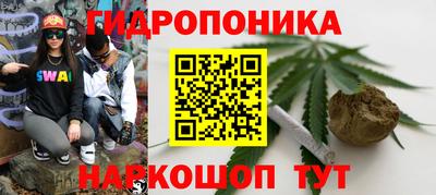 эйфоретик Баксан