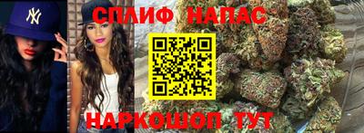 эйфоретик Баксан