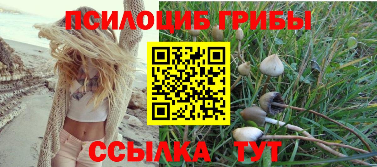 Белая Калитва  купить   Вход с VPN  Галлюциногенные грибы Cubensis 